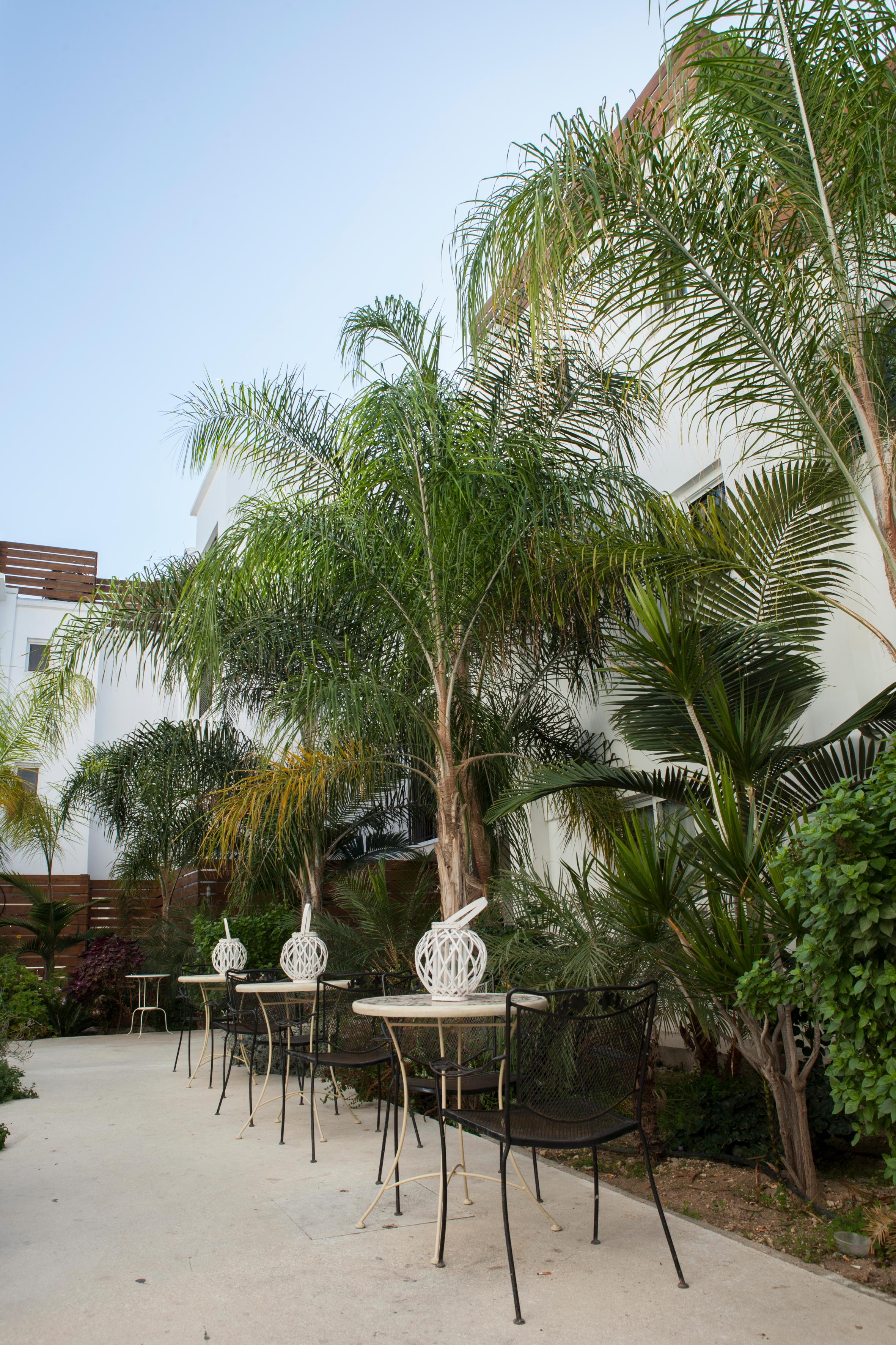 Alecos Hotel Apartments Paphos Eksteriør billede