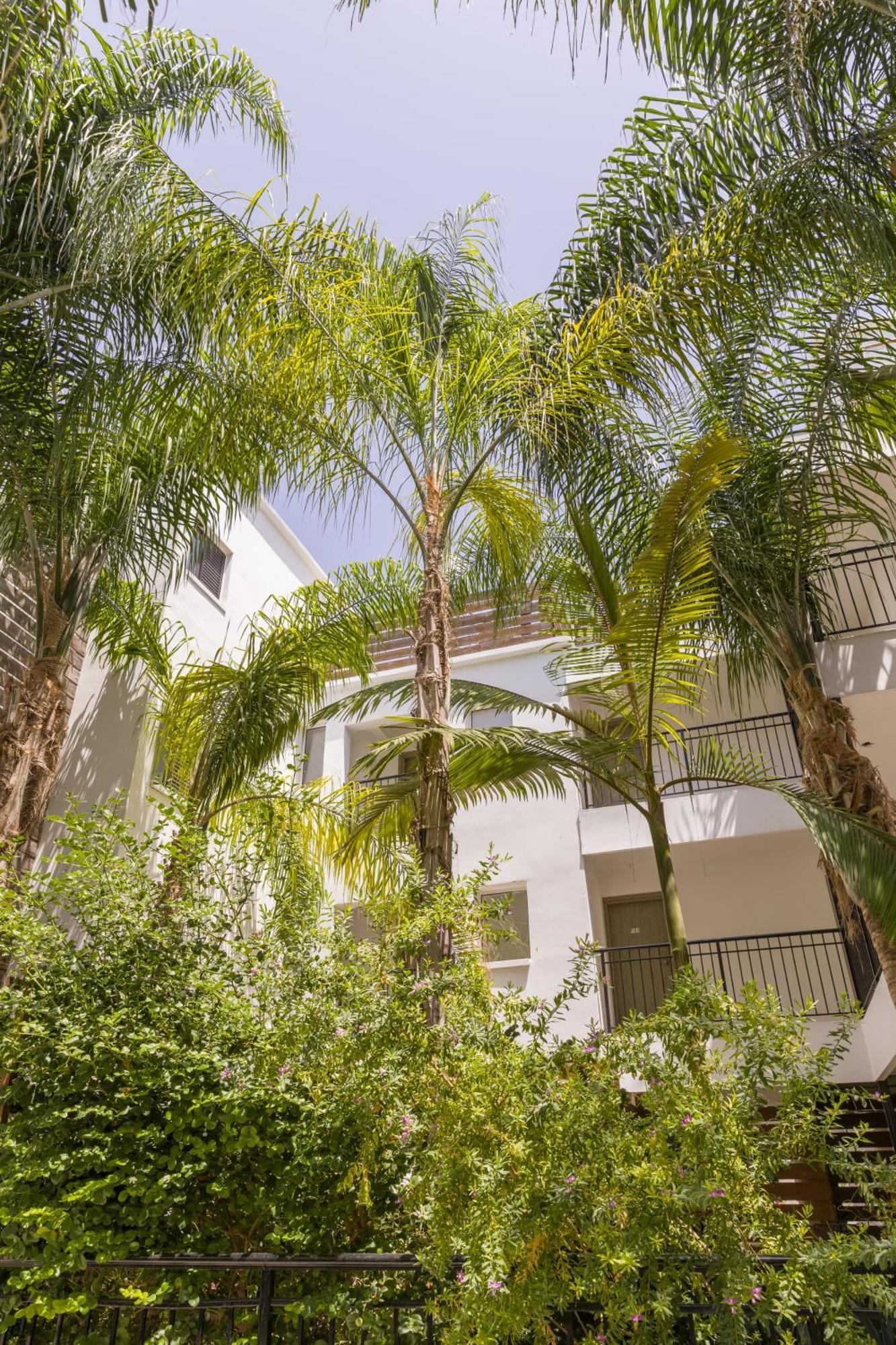 Alecos Hotel Apartments Paphos Eksteriør billede