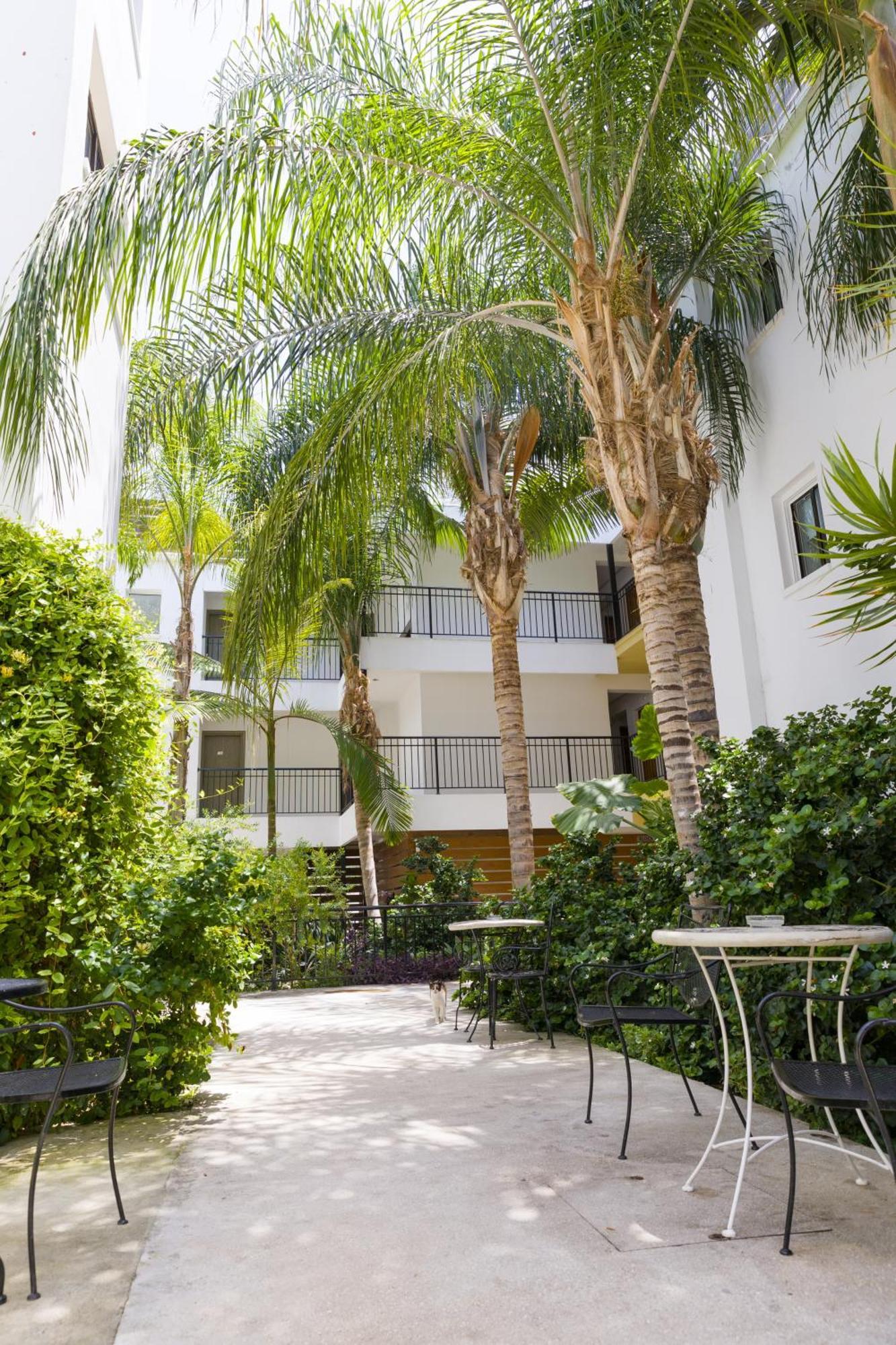 Alecos Hotel Apartments Paphos Eksteriør billede